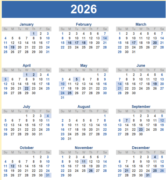 Bloom in 2026: A Daily Wellness Companion